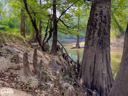 Residential Property in Neshoba County, Mississippi