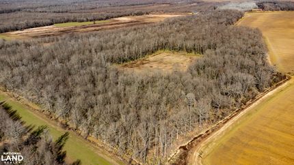 Hunting Land in Yazoo County, Mississippi