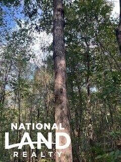 Farm Property in Cherokee County, Alabama