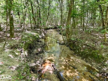 Ranch Property in Conecuh County, Alabama
