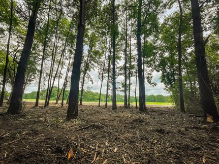 Farm Property in Morgan County, Alabama