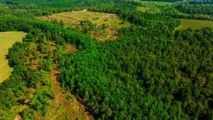 Farm Property in Emanuel County, Georgia