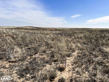 Farm Property in Cochran County, Texas