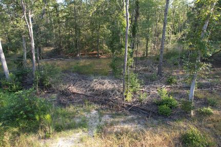 Timberland Property in Newton County, Texas