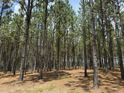 Farm Property in Chesterfield County, South Carolina