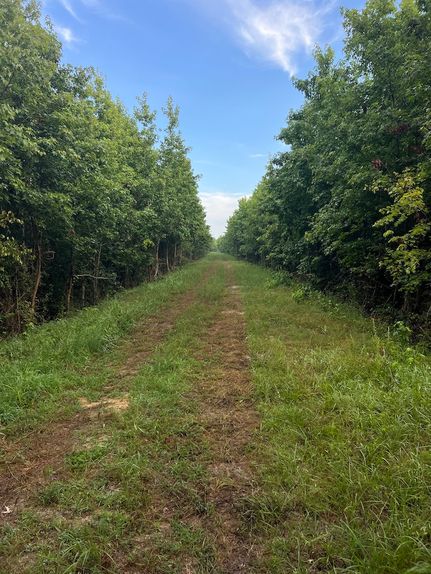 Ranch Property in Northampton County, North Carolina