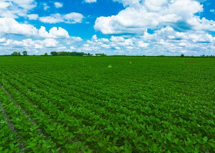 Farm Property in Union County, Ohio