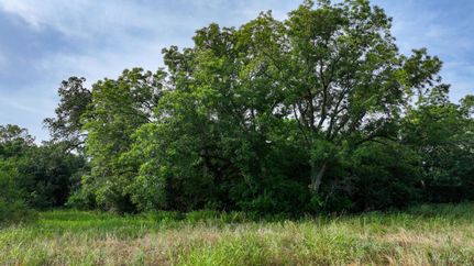 Farm Property in Guadalupe County, Texas