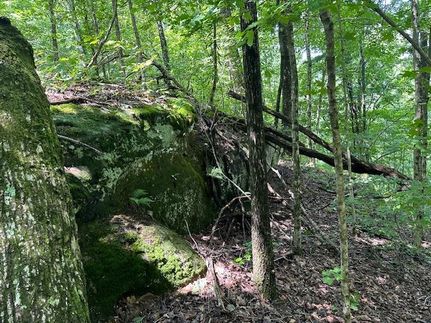 Residential Property for sale in Fentress County, Tennessee