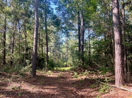 Residential Property for sale in Polk County, Texas