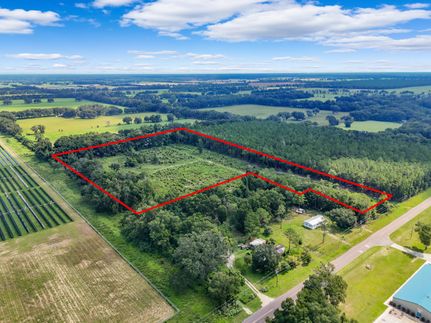 Horse Property in Levy County, Florida
