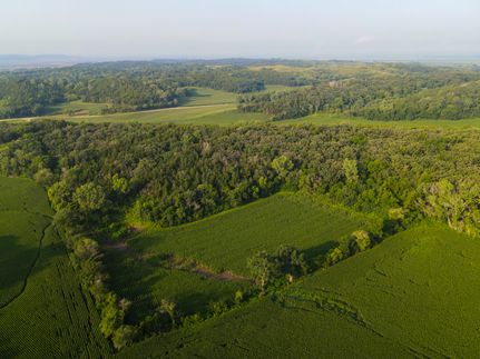 Timberland Property in Monona County, Iowa