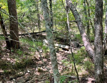 Undeveloped Land in Pushmataha County, Oklahoma
