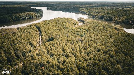 Timberland Property in Lee County, Mississippi