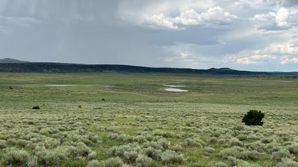 Farm Property in Catron County, New Mexico