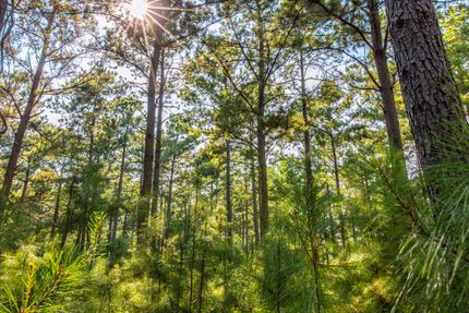 Ranch Property for sale in Henderson County, Texas