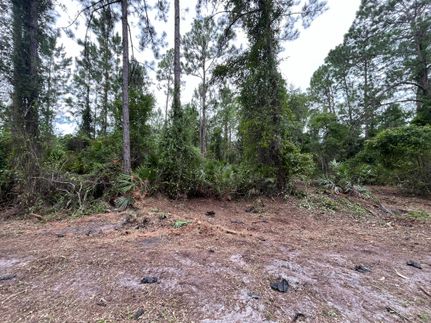 Farm Property for sale in Putnam County, Florida