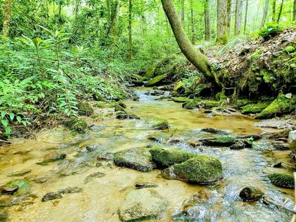 Property in Rutherford County, North Carolina