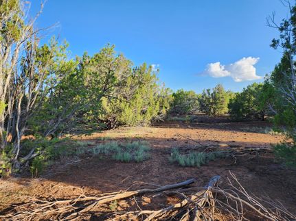 Undeveloped Land for sale in Apache County, Arizona