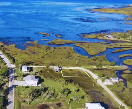 Undeveloped Land in Taylor County, Florida