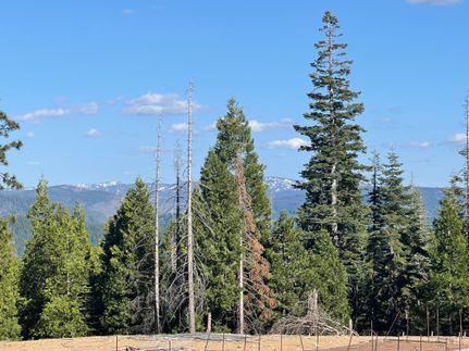 Timberland Property in Nevada County, California