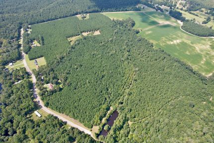 Recreational Property in Williamsburg County, South Carolina