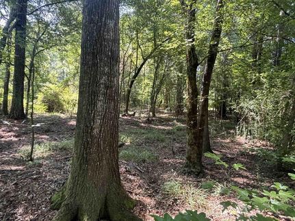 Farm Property in Wilkinson County, Mississippi