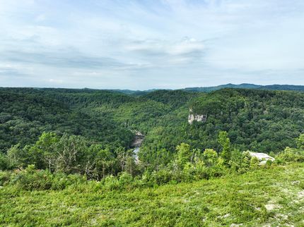 Farm Property in Nicholas County, West Virginia