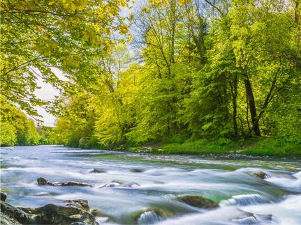 Undeveloped Land for sale in Sequatchie County, Tennessee