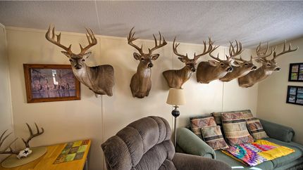 Farm Property in Hardeman County, Texas