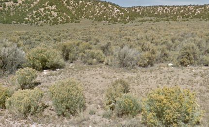 Undeveloped Land for sale in Costilla County, Colorado