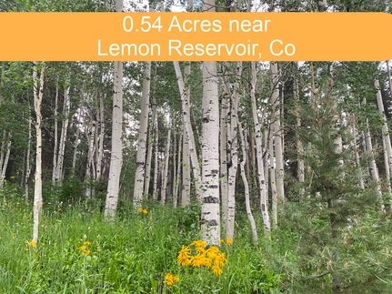 Property in La Plata County, Colorado