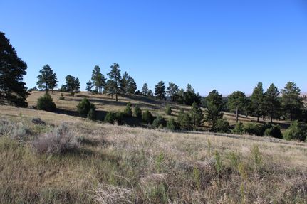 Property for sale in Crook County, Wyoming