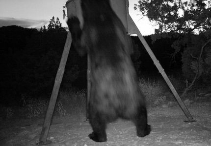 Farm Property for sale in Edwards County, Texas