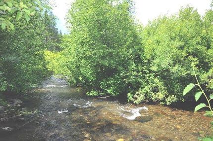 Ranch Property in Fremont County, Idaho