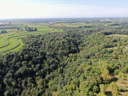 Timberland Property in Vernon County, Wisconsin