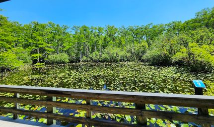 Farm Property in Highlands County, Florida