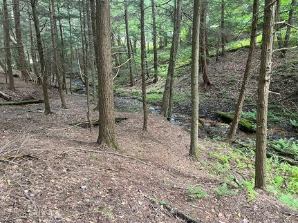 Farm Property in Jefferson County, Pennsylvania