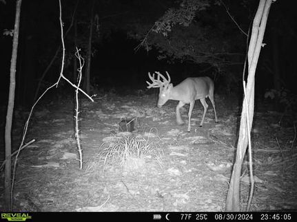 Waterfront Property in Terrell County, Georgia