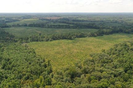 Farm Property for sale in Cass County, Texas