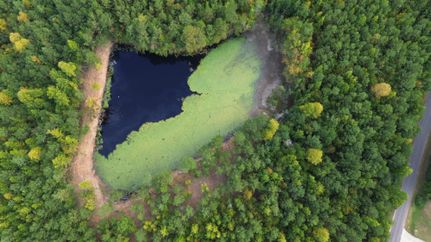 Property in Fayette County, Alabama