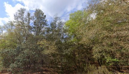 Property for sale in Putnam County, Florida