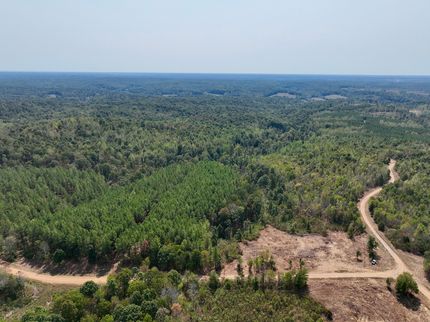 Hunting Land in Houston County, Tennessee
