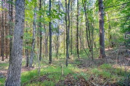 Property in Carroll County, Virginia