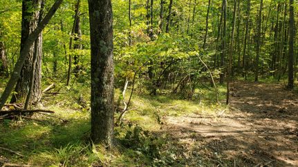 Residential Property in Marinette County, Wisconsin