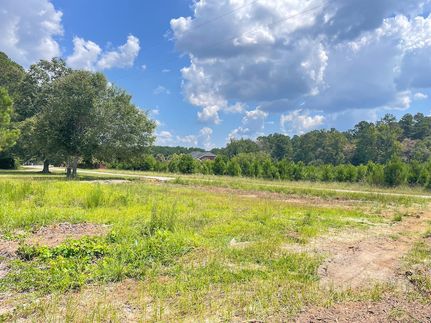 Farm Property for sale in Dillon County, South Carolina