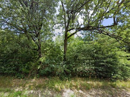 Undeveloped Land in Bowie County, Texas