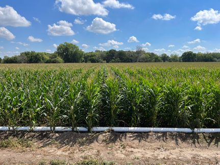 Farm Property in Howard County, Nebraska