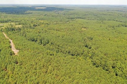 Hunting Land for sale in Cass County, Texas