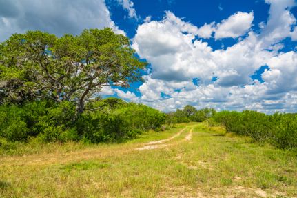 Farm Property for sale in Bee County, Texas